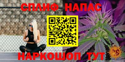 крисы Усть-Джегута
