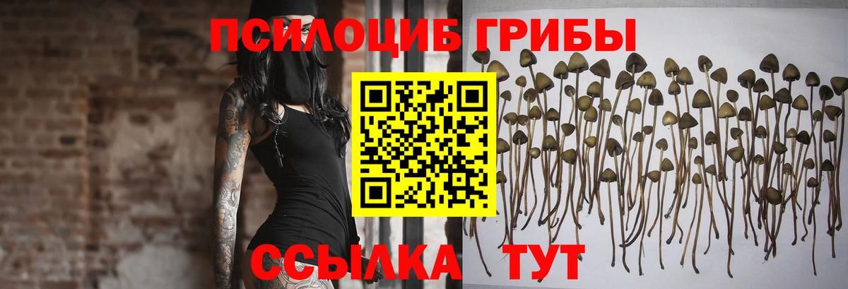 Псилоцибиновые грибы Psilocybe  Вход с VPN  Псилоцибиновые грибы прущие грибы  Батайск 